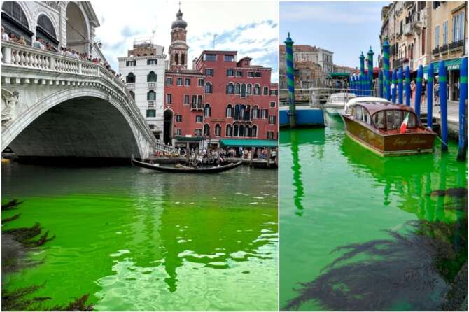 Il Canal Grande a Venezia si tinge di verde, potrebbe essere stato un errore: “Nessuna preoccupazione ambientale”