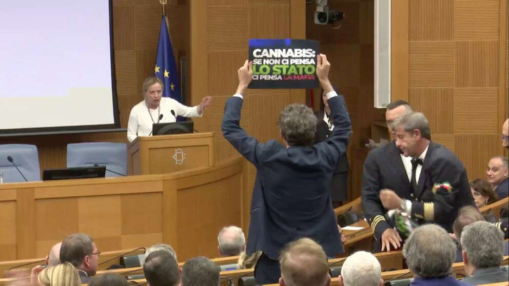 903950-thumb-full-720-clp_meloni