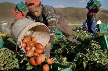 Il dramma degli schiavi invisibili: uno su 3 è minorenne