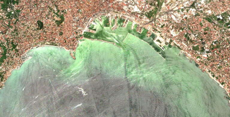 Perché il mare è verde nel golfo di Napoli, cosa sta succedendo nell