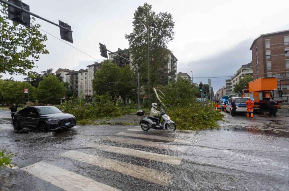 Maltempo a Milano e Brianza, raffiche di vento e piogge: morta una donna schiacciata da un albero