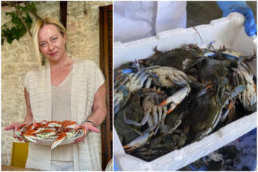 L’estate del granchio blu, dall'”invasione” alle ricette alla vendita all’estero del crostaceo alieno