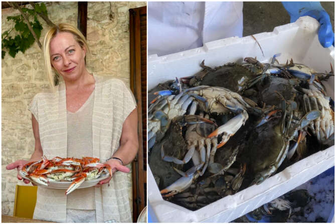 L’estate del granchio blu, dall'”invasione” alle ricette alla vendita all’estero del crostaceo alieno