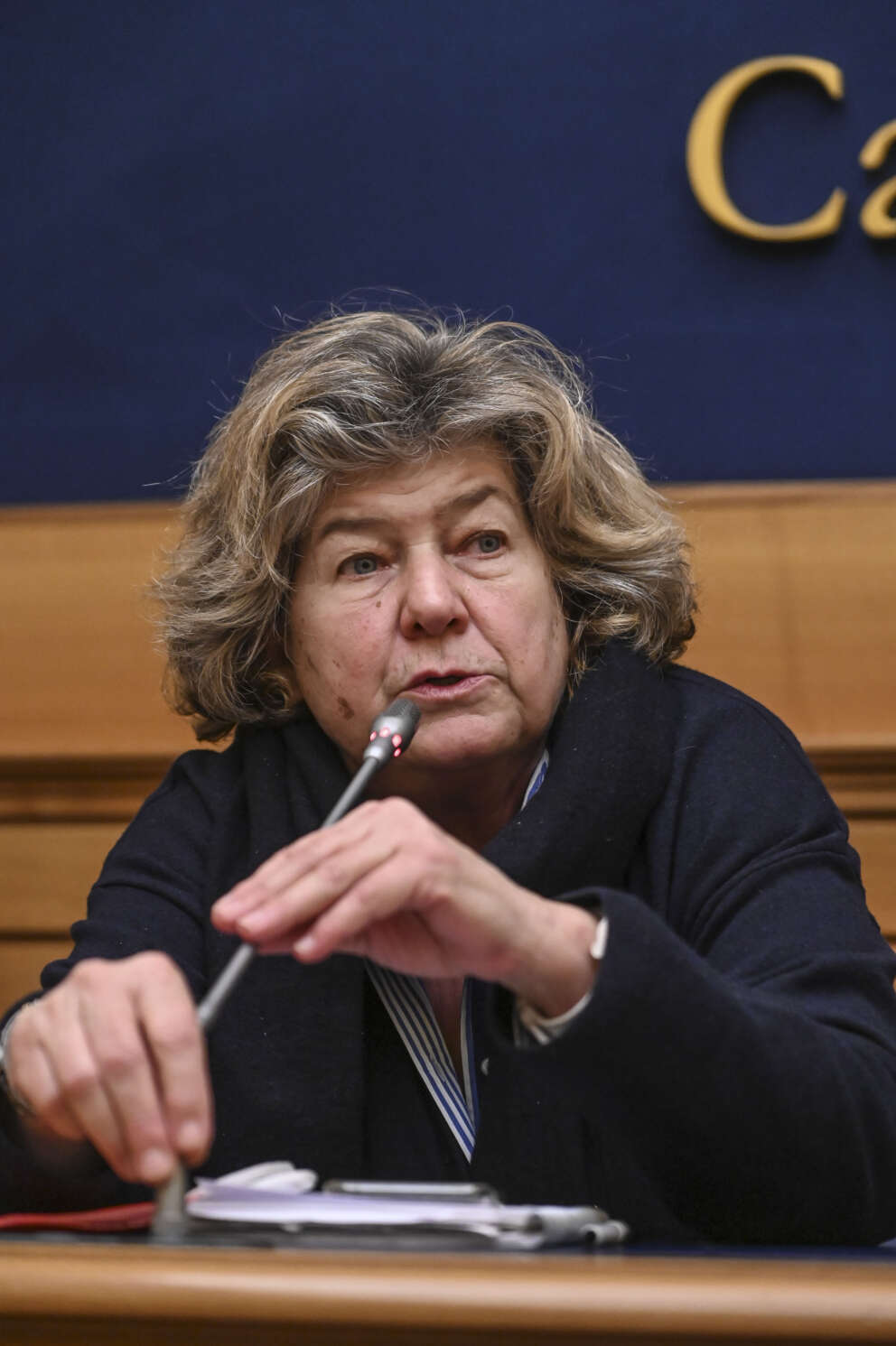 CONFERENZA STAMPA SUL CODICE DEGLI APPALTI