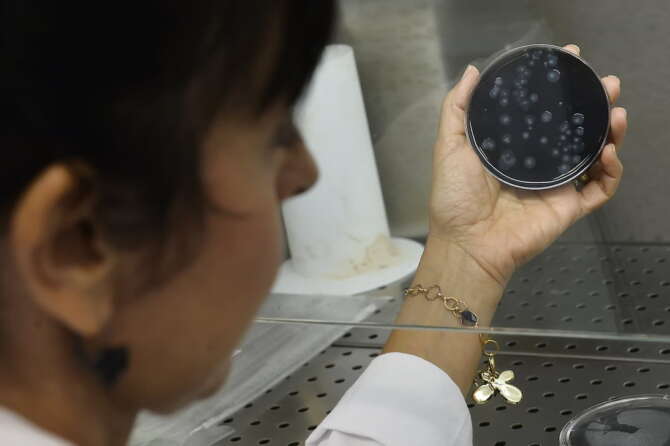 Foto Richard Morgano/LaPresse 10 settembre 2018 Brescia