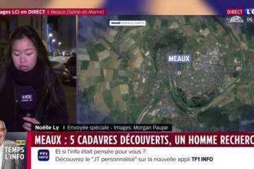 Francia, orrore a Natale: trovati morti in casa madre e quattro figli piccoli, arrestato il padre