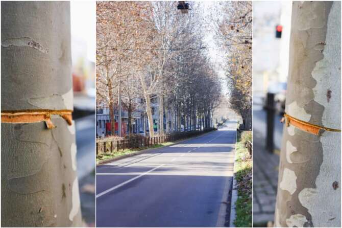 Tira un cavo d’acciaio ad altezza uomo a Milano, arrestato per strage un 24enne: “Mi stavo annoiando”