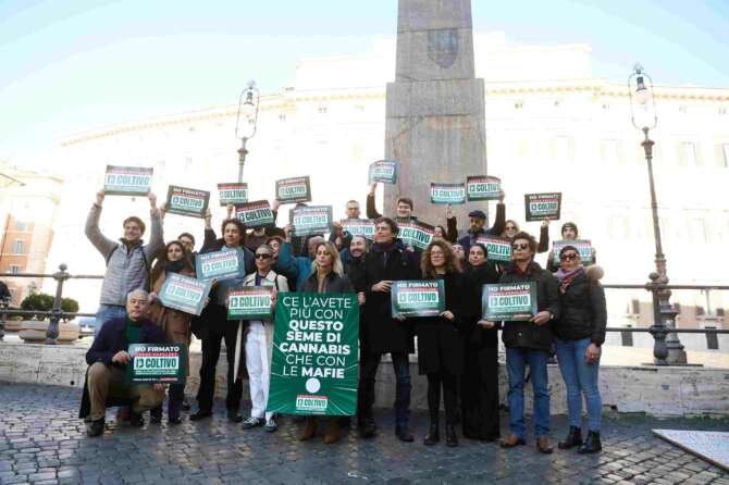 Cannabis legale, dopo la liberalizzazione in Germania anche gli italiani vogliono la legge