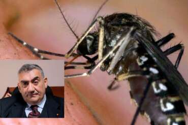 Antonio Limone – Direttore generale Istituto Zooprofilttico Sperimentale del Mezzogiorno spiega perchè ci sono le zanzare anche in inverno.