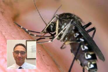 Zanzara della malaria in Puglia: sintomi, cura e trasmissione. Tutto quello che c’è da sapere, risponde l’esperto