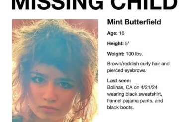 Mint Butterfield