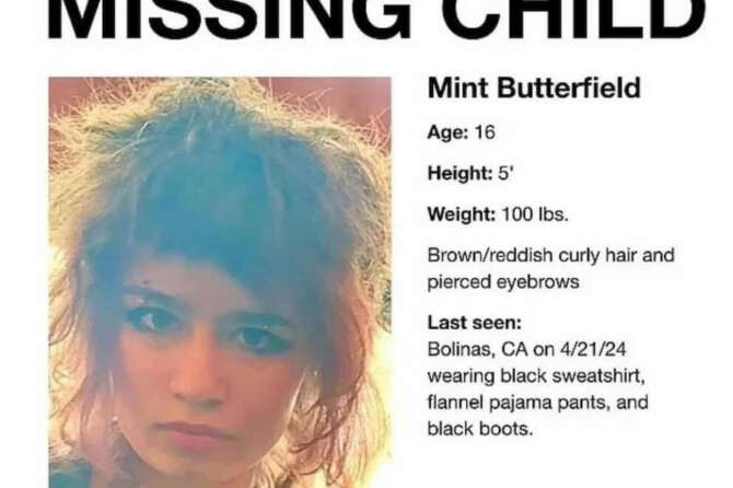 Ritrovata Mint Butterfield, figlia 16enne dei fondatori di Slack e Flickr: arrestato l’amico che era con lei