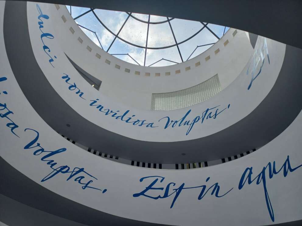 WhatsApp Image 2024-05-22 at 13.57.57 (1)