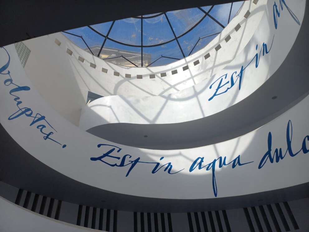 WhatsApp Image 2024-05-22 at 13.57.59