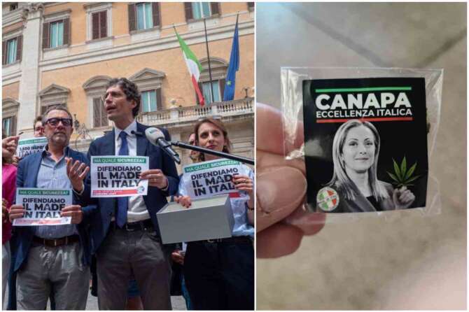 Canapa italica col viso della Meloni, il blitz di +Europa alla Camera