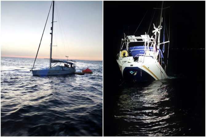 Orche attaccano e affondano barca a vela, paura per i 3 a bordo