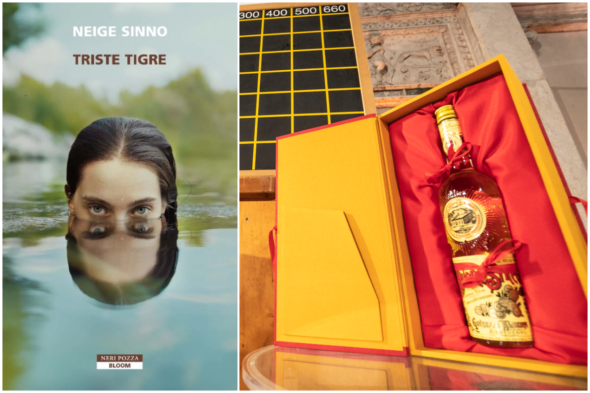 Il libro della scrittrice francese Neige Sinno, "Triste Tigre"