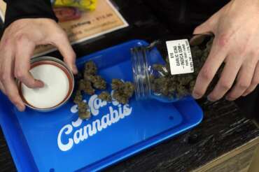 Cannabis Light, dalla destra atto sovversivo