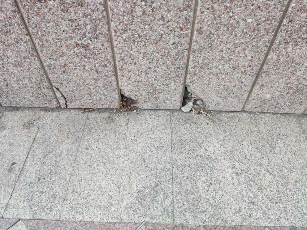 Centro Direzionale di Napoli, luogo di degrado e set ideale per un film horror: le foto