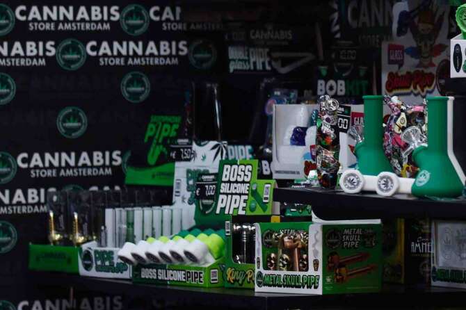 Cannabis light, dal Tar nuovo schiaffo al governo