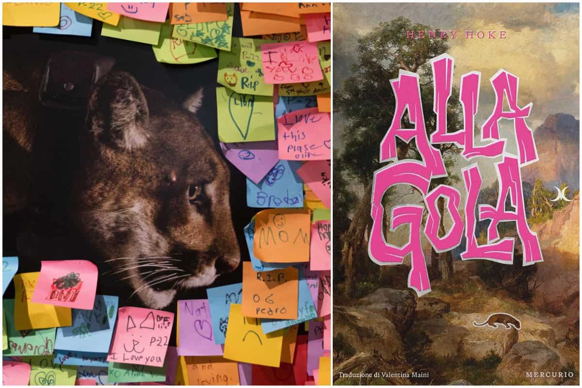 Il puma P22 e la copertina del romanzo "Alla gola" di Henry Hoke