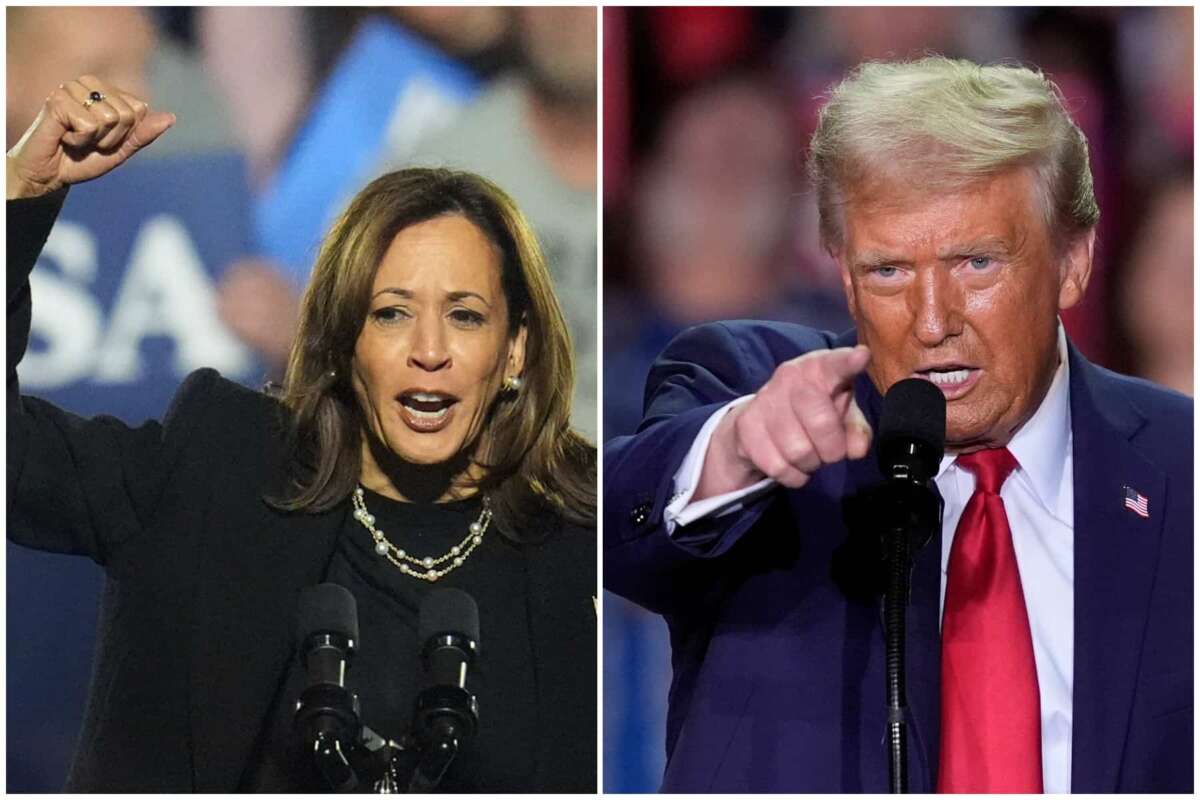 Elezioni americane, chi ha vinto tra Trump e Harris: il testa a testa