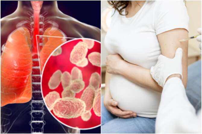 Fonte Iss e Sanità Informazione