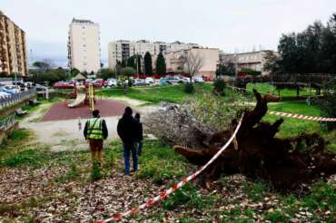 Roma, albero cade in un parco e travolge due donne: mamma 45enne muore sul colpo, grave l’amica