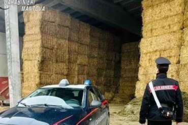 FOTO DA CARABINIERI