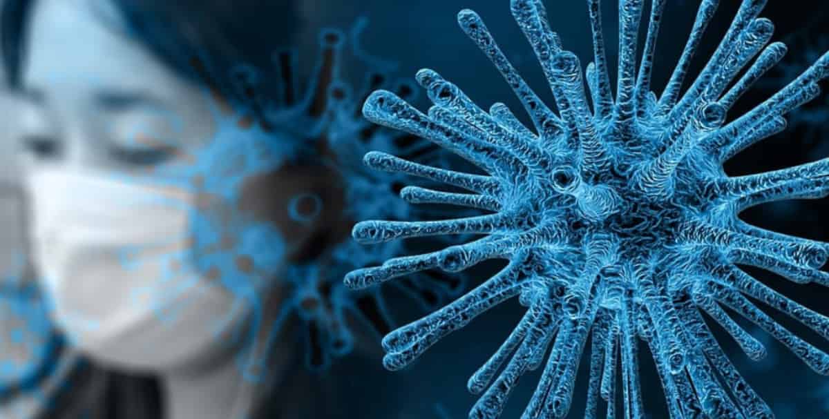 FOTO DA PIXABAY (GERALT)