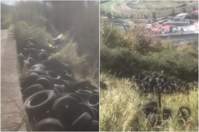 fonte screen video TikTok Coglitore