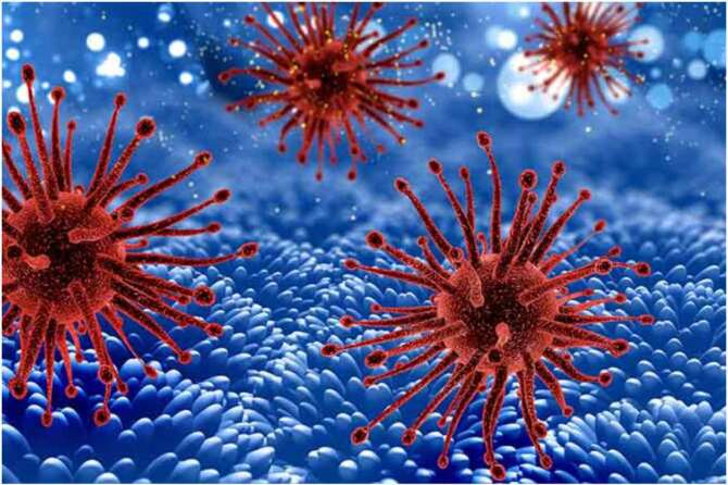 Immunoterapia negli stadi precoci del tumore del polmone, mortalità in meno del 30% dei casi