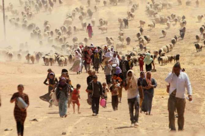 Migrazioni e stupri: la denuncia del comitato Onu contro la tortura