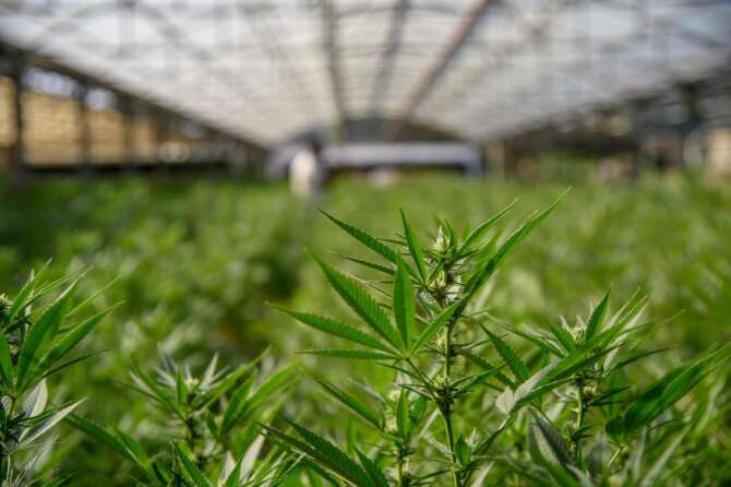 Photo Claudio Furlan/Lapresse