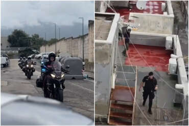 Fonte ufficio stampa Carabinieri