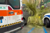 Genova, donna schiacciata e uccisa da una palma