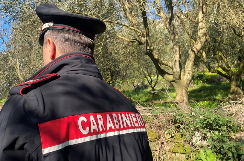 Fonte pagina Facebook carabinieri