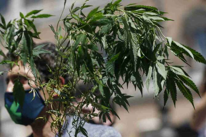 Foto Cecilia Fabiano/ LaPresse