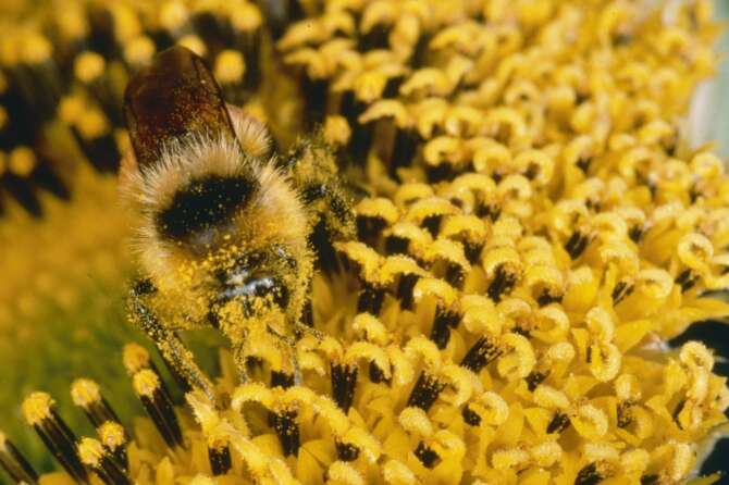 Foto Olycom/LaPresse archivio storico – stock anni 2000 immagini stock Stock