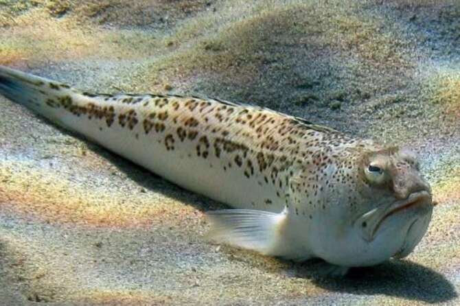 Fonte pagina Facebook ‘Nessuno tocchi Ippocrate’