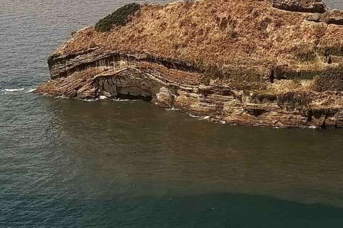 Fonte pagina Facebook CSI gaiola Onlus