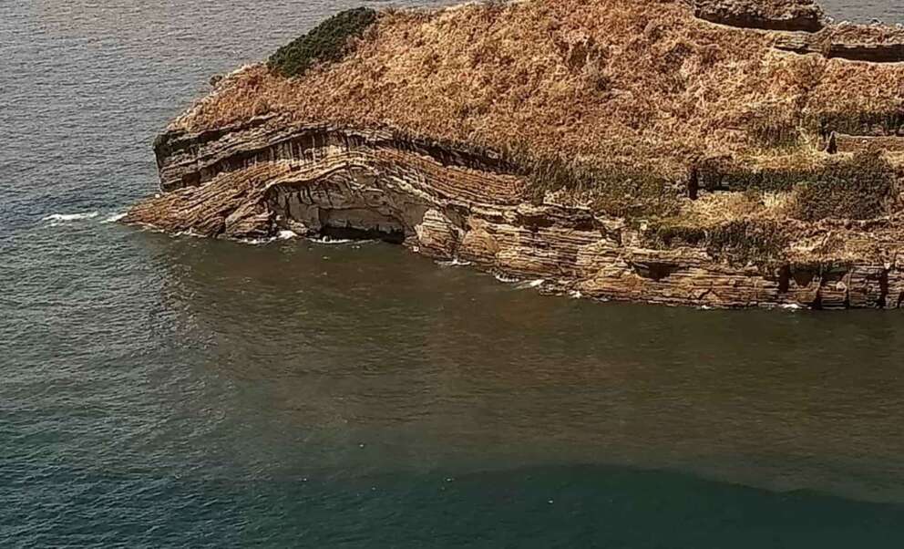 Fonte pagina Facebook CSI gaiola Onlus