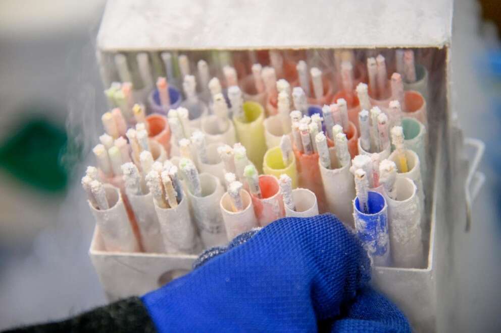 Procreazione medicalmente assistita, riparte la campagna “PMA per tutte”