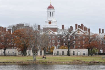 FILE – This Nov. 13, 2008 file photo shows the campus of Harvard University in Cambridge, Mass. (AP Photo/Lisa Poole, File)