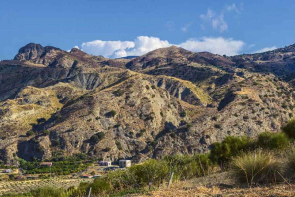 Viaggio nella Calabria dimenticata che non molla: Aspromonte, tra cooperative e speranza