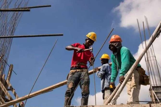 Secondo OCSE servono più immigrati: popolazione sempre più vecchia, scarseggia la manodopera