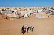 Saharawi profughi da mezzo secolo, ma tutti (Usa, Europa e Onu) fanno finta di niente…