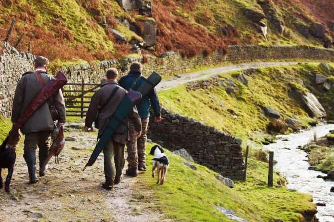 FOTO DI REPERTORIO DA PIXABAY