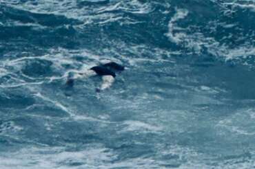 Quattro cadaveri di migranti trasportati dalla mareggiata sulle spiagge della Calabria, è la scia di morti del ciclone Harry