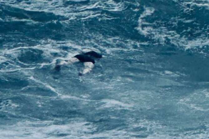 Quattro cadaveri di migranti trasportati dalla mareggiata sulle spiagge della Calabria, è la scia di morti del ciclone Harry
